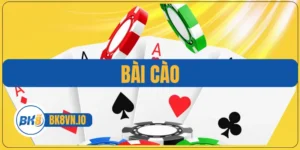 Bài Cào