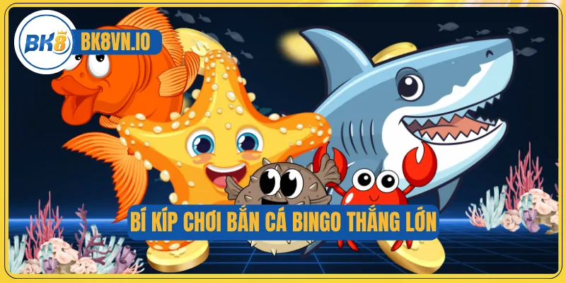 Bắn Cá Bingo - Săn Boss Đại Dương, Nhận Tiền Mặt Khủng 4 Bí kíp chơi Bắn cá Bingo thắng lớn