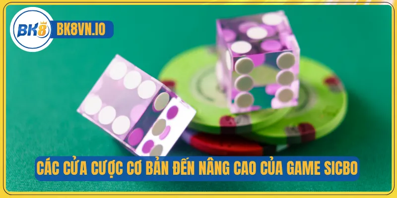 Các cửa cược cơ bản đến nâng cao của game Sicbo