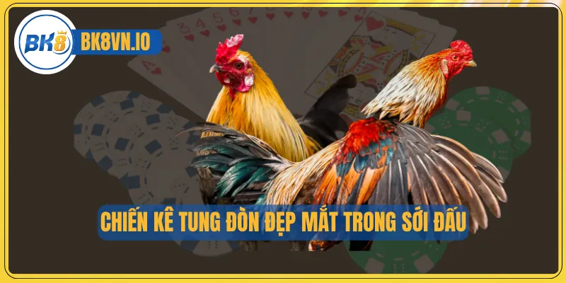 Đá Gà Chọi – Nghệ Thuật Huấn Luyện Chiến Kê Đỉnh Cao 2 Chiến kê tung đòn đẹp mắt trong sới đấu