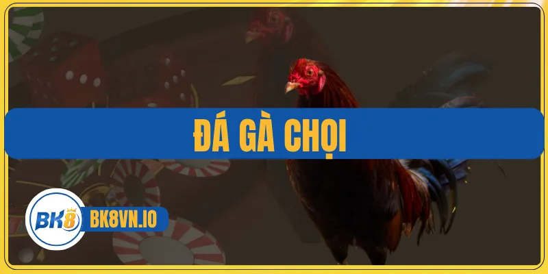 Đá Gà Chọi – Nghệ Thuật Huấn Luyện Chiến Kê Đỉnh Cao 1 Đá Gà Chọi