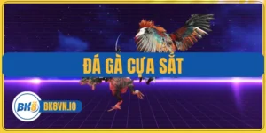 Đá Gà Cựa Sắt