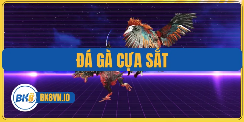 Đá Gà Cựa Sắt - Nơi Mỗi Cú Ra Đòn Đều Quyết Định Vinh Quang 1 Đá Gà Cựa Sắt