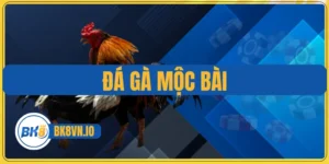 Đá Gà Mộc Bài