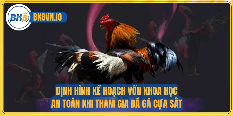 Đá Gà Cựa Sắt - Nơi Mỗi Cú Ra Đòn Đều Quyết Định Vinh Quang 4 Định hình kế hoạch vốn khoa học, an toàn khi tham gia đá gà cựa sắt