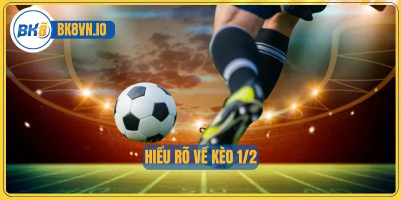 Kèo ½ - Cách Đọc Chuẩn Và Bí Quyết Chơi Hiệu Quả Cho Newbie 2 Hiểu rõ về kèo 1/2