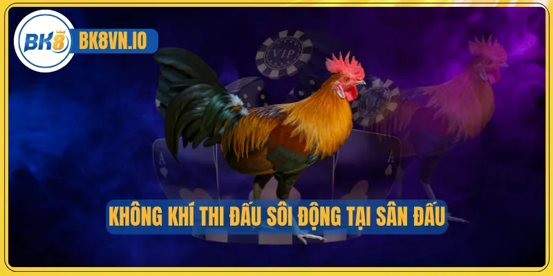 Không khí thi đấu sôi động tại sân đấu