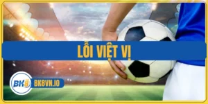 Lỗi Việt Vị