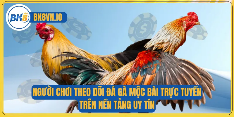 Đá Gà Mộc Bài – Sân Chơi Uy Tín Với Trận Đấu Kịch Tính 4 Người chơi theo dõi đá gà Mộc Bài trực tuyến trên nền tảng uy tín