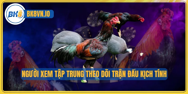 Người xem tập trung theo dõi trận đấu kịch tính