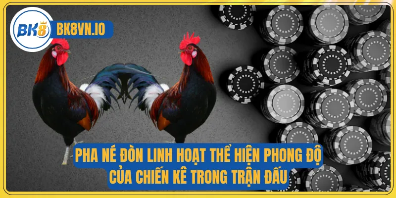 Thuật Ngữ Đá Gà Cung Cấp Kiến Thức Cơ Bản Dành Cho Tân Binh 3 Pha né đòn linh hoạt thể hiện phong độ của chiến kê trong trận đấu