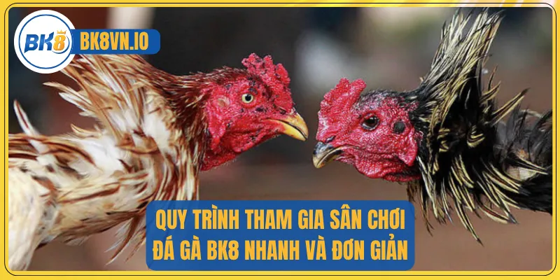 Quy trình tham gia sân chơi đá gà BK8 nhanh và đơn giản