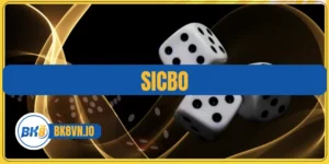 Sicbo BK8