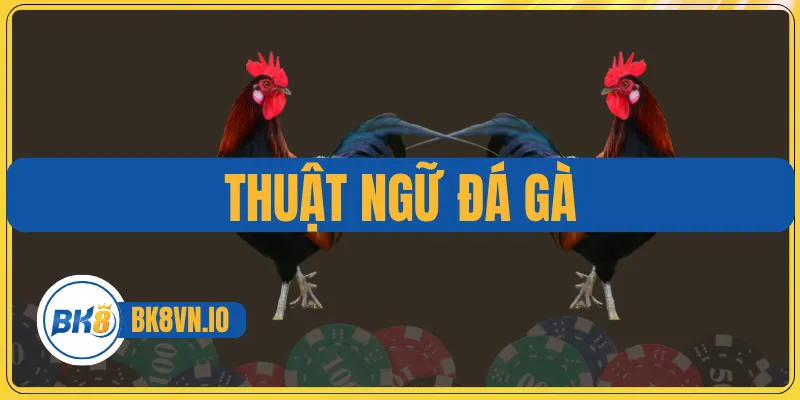 Thuật Ngữ Đá Gà Cung Cấp Kiến Thức Cơ Bản Dành Cho Tân Binh 1 Thuật Ngữ Đá Gà