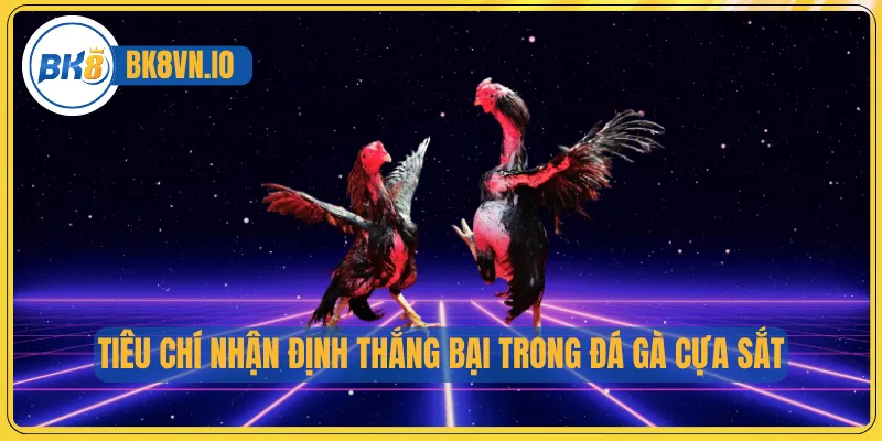 Đá Gà Cựa Sắt - Nơi Mỗi Cú Ra Đòn Đều Quyết Định Vinh Quang 3 Tiêu chí nhận định thắng bại trong đá gà cựa sắt
