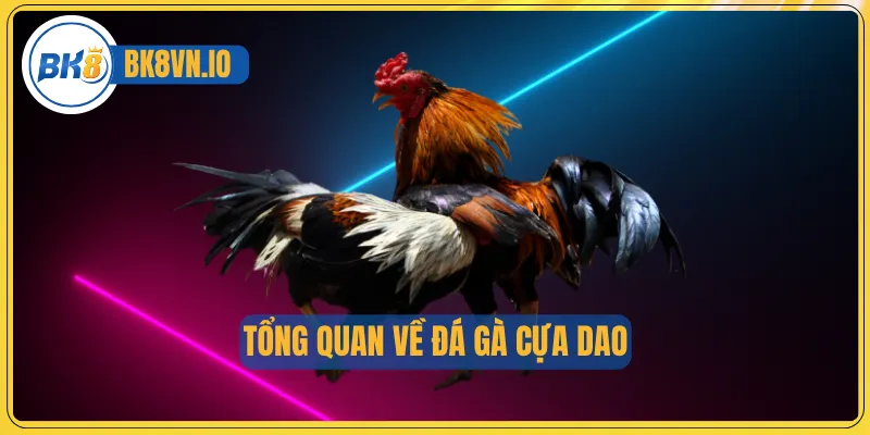 Tổng quan về đá gà cựa dao
