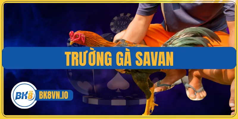 Trường Gà Savan